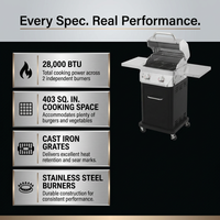 2 Burner Propane Gas Grill in Black — Results & Stats